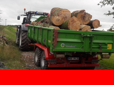 10_entsorgung_gruenmuell_2