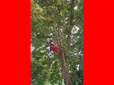 2_seilklettertechnik